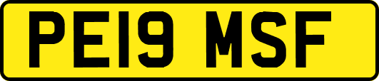PE19MSF