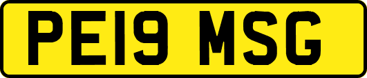 PE19MSG