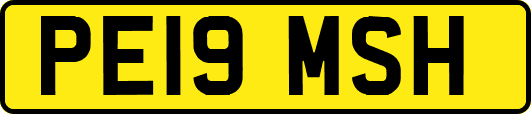 PE19MSH