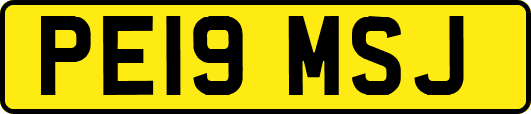 PE19MSJ