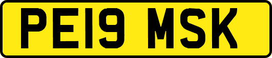 PE19MSK