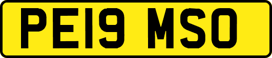 PE19MSO
