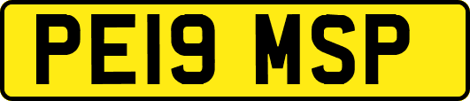 PE19MSP