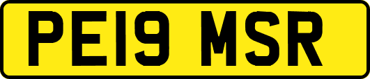 PE19MSR