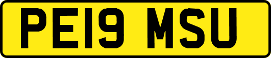 PE19MSU