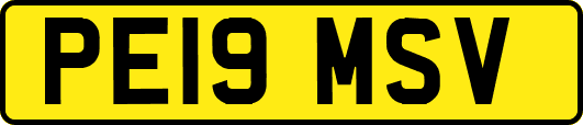 PE19MSV