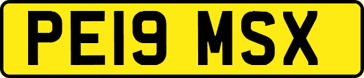 PE19MSX