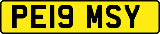 PE19MSY