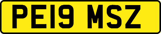PE19MSZ