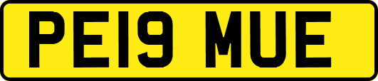 PE19MUE