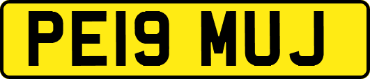 PE19MUJ