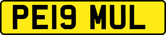 PE19MUL