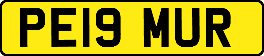 PE19MUR