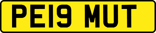 PE19MUT