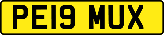 PE19MUX