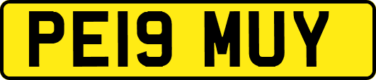 PE19MUY