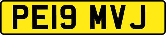 PE19MVJ