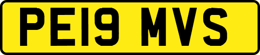 PE19MVS