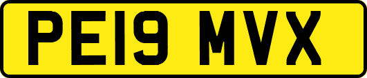 PE19MVX