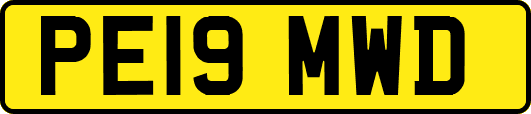 PE19MWD