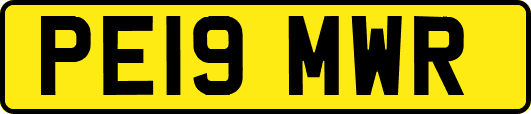 PE19MWR