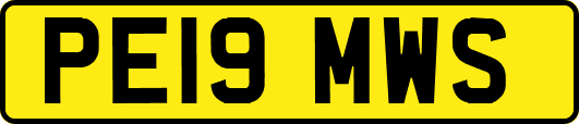 PE19MWS