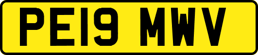 PE19MWV