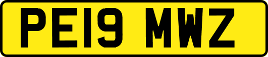 PE19MWZ