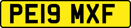 PE19MXF