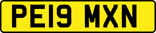 PE19MXN
