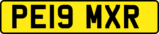 PE19MXR