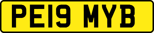 PE19MYB
