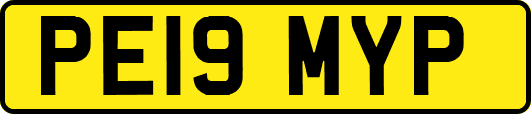 PE19MYP