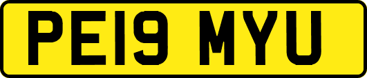 PE19MYU