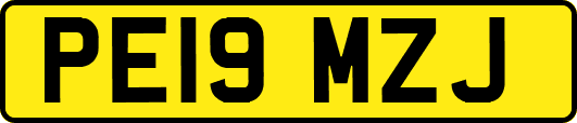 PE19MZJ
