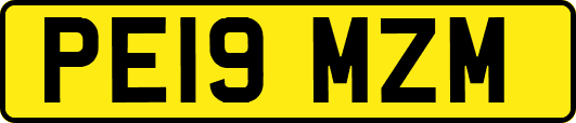 PE19MZM
