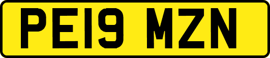 PE19MZN