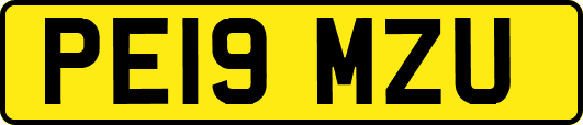 PE19MZU