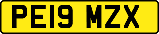 PE19MZX