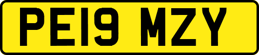 PE19MZY