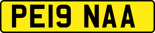 PE19NAA