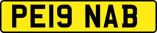 PE19NAB