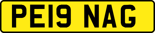 PE19NAG