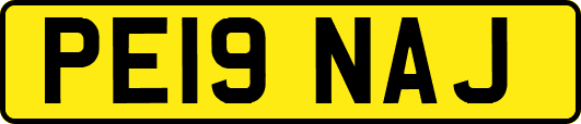 PE19NAJ