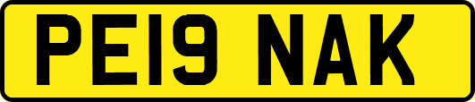 PE19NAK