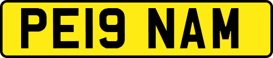 PE19NAM