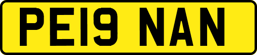 PE19NAN