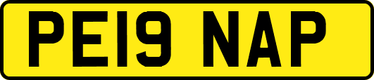 PE19NAP