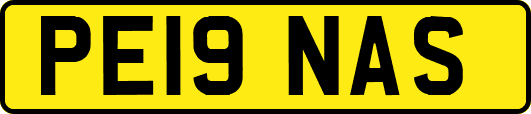 PE19NAS