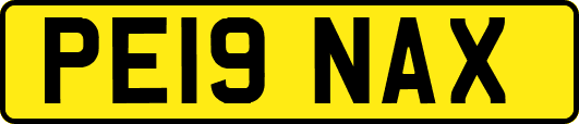 PE19NAX